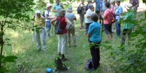 Rundwanderung Handthal-Baumwipfelpfad am 25.6.2023