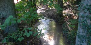 Wanderung von Neustadt-Aisch nach Emskirchen am 23.9.2021