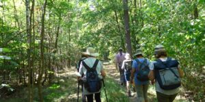 Wanderung von Steinach über Linden nach Schweinsdorf am 14.8.2022