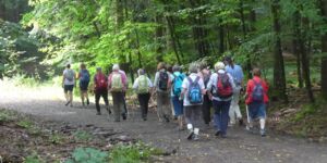 Wanderung im Gramschatzer Wald am 13.8.2023