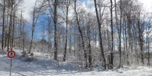 Wanderung Rhön Kissinger Hütte zum Berghaus Rhön am 26.2.2022