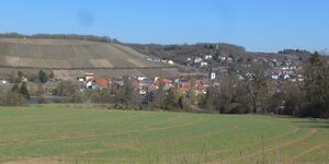 Rundwanderung Ochsenfurt-Westsiedlung-Thierbachtal am 10.3.2022