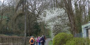 Traumrunde Obernbreit-Marktbreit am 24.3.2026