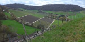 Wanderung um Castell am 13.4.2023