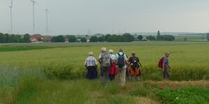 Rundwanderung Bachgeflüster Frankenwinheim am 24.6.2021