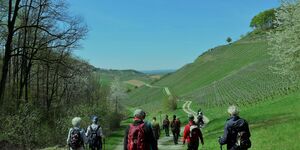 Rundwanderung um Castell am 18.4.2022