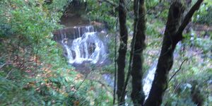 Wanderung von Ribeiro Frio nach Portela am 23.11.2025