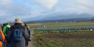 Jahresabschlußwanderung Kitzingen-Hoheim am 27.12.2021