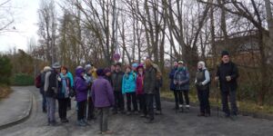 Wanderung Kitzingen-Hohenfeld am 26.1.2023