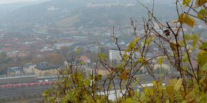 Wanderung auf den Stein-Wein-Pfad in Würzburg am 14.11.2021