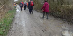 Rundwanderung Kitzingen-Großlangheim mit Märzenbecher am 23.2.2023