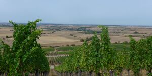 Wanderung am Bullenheimer Berg vom 27.8.2026