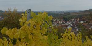 Wanderung um Rimpar am 12.10.2025